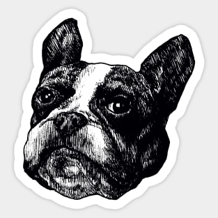 The Frenchie Sticker